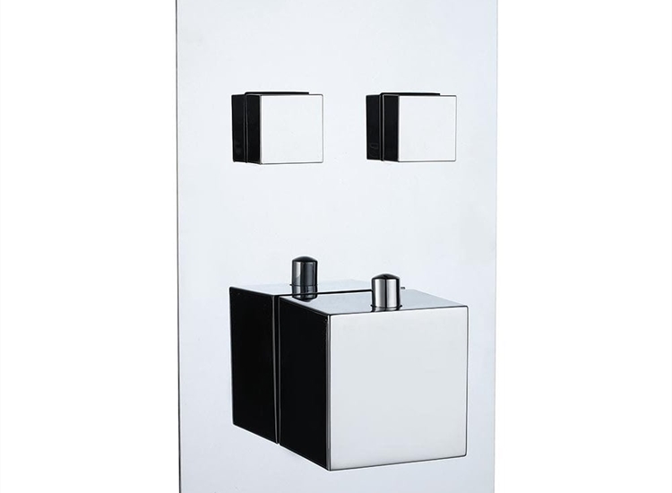 Gemini Square Twin Thermostatic Push-Button Shower Valve with 2 Outlets (controls 2 functions)