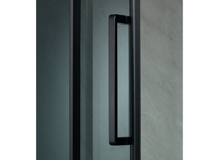 Ascent Premier 8mm Roller Sliding Door - Clear Glass/Black Frame