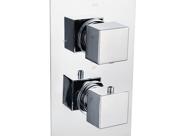 Ebony Square Twin Thermostatic Shower Valve with 1 Outlet (controls 1 function)