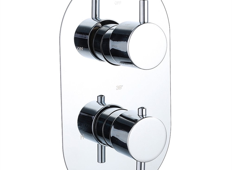 Ebony Round Twin Thermostatic Shower Valve with 1 Outlet (controls 1 function)