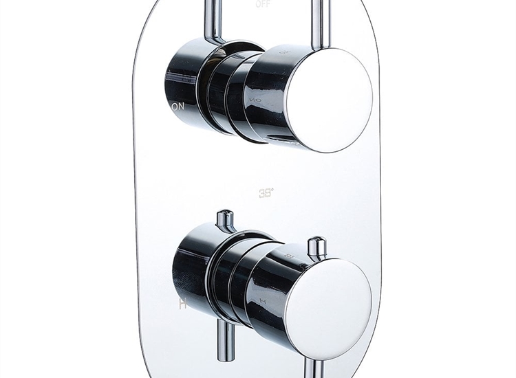 Ebony Round Twin Thermostatic Shower Valve with 2 Outlets (controls 2 functions)