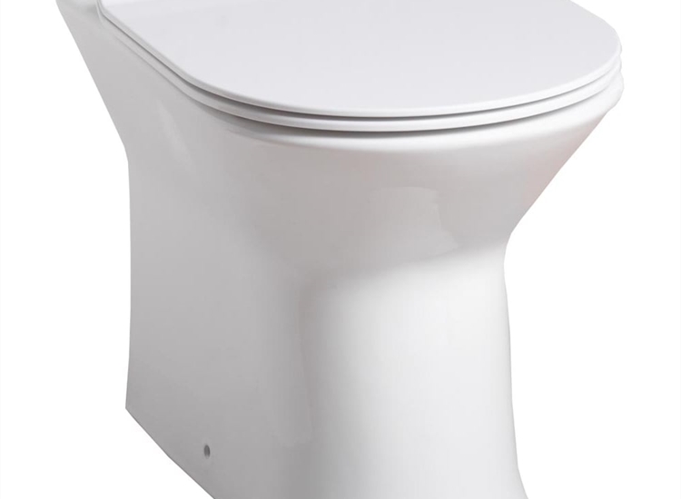 Venice Rimless Back-to-Wall Pan & Soft Close Seat