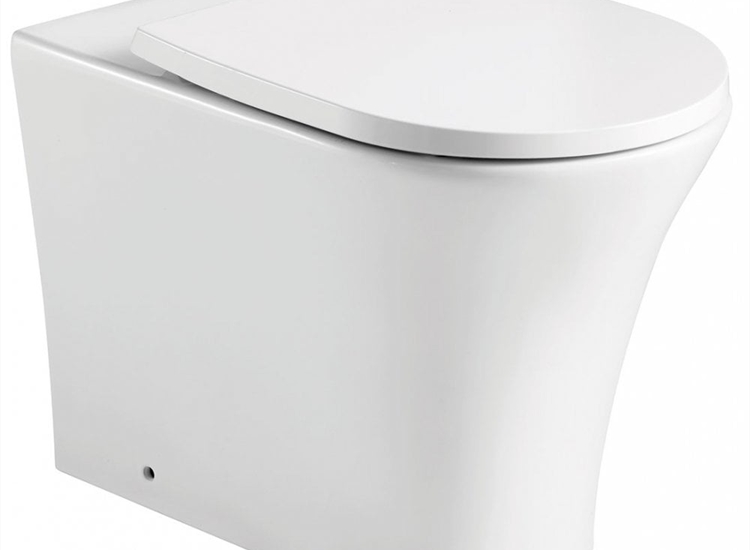 Rimini Rimless Back-to-Wall Pan & Soft Close Seat