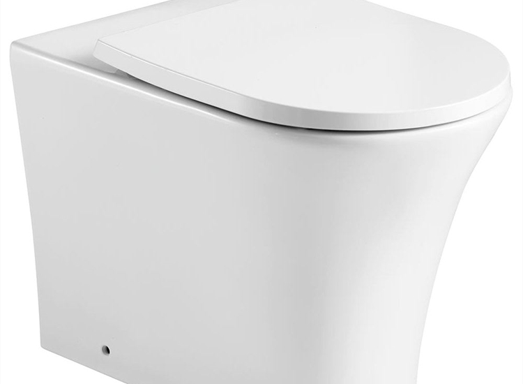 Rimini Rimless Back-to-Wall Pan & Soft Close Seat