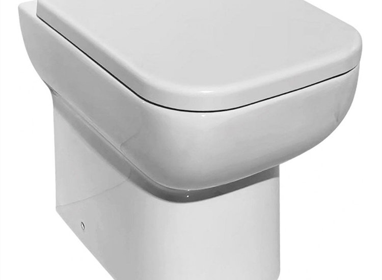 Aveiro Rimless Back-to-Wall Pan & Soft Close Seat