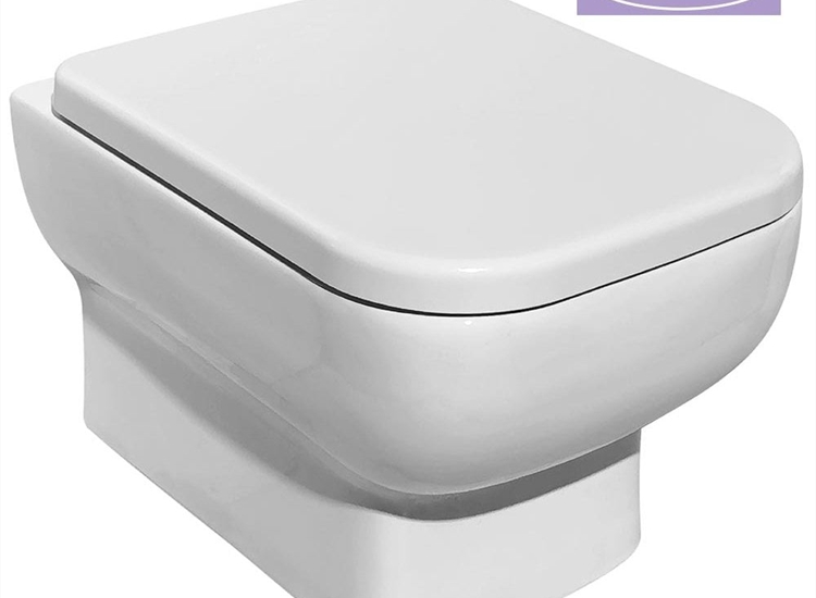 Aveiro Rimless Wall-Hung Pan & Soft Close Seat